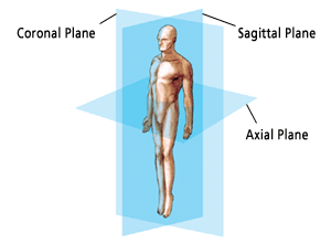 Spinal Planes